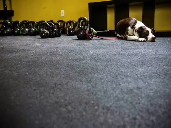 VC Crossfit | fitness for everybody. Picture 10