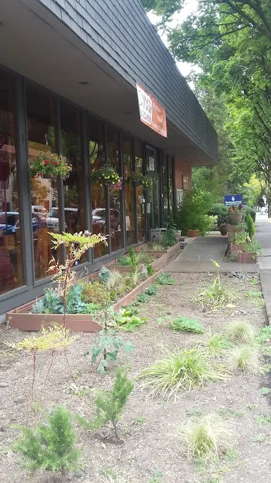 DAYA Foundation Picture 2