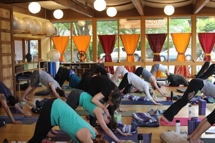 DAYA Foundation Picture 1