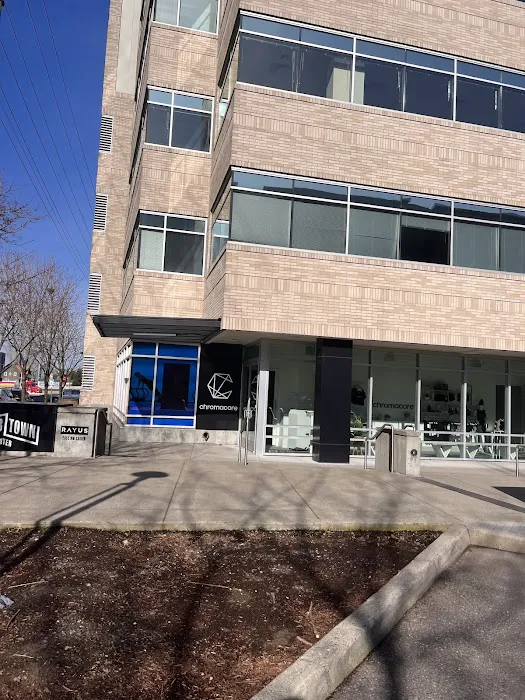 Chromacore Picture 2