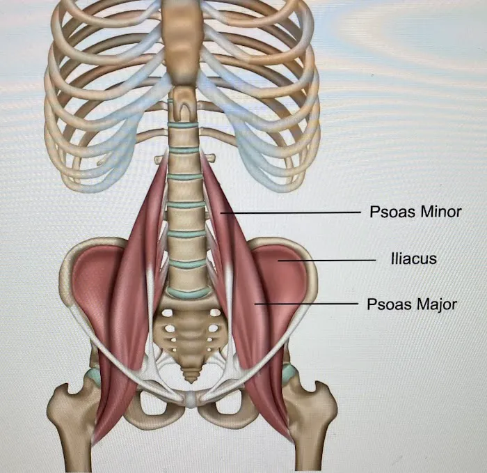 Integrative Health and Fitness Picture 7
