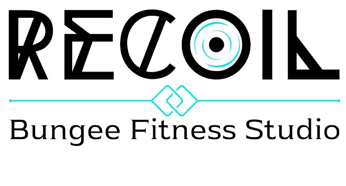 Recoil Bungee Fitness - Tigard Picture 1