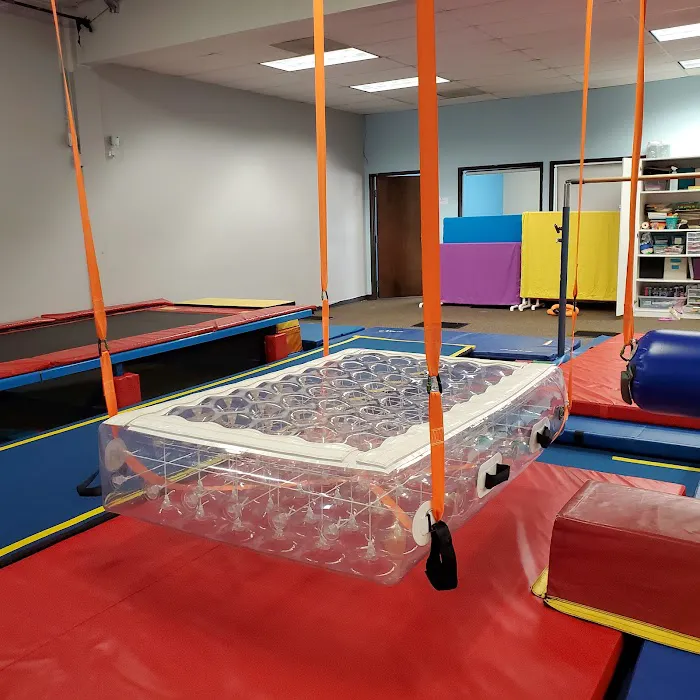 Spectra Gymnastics Picture 10