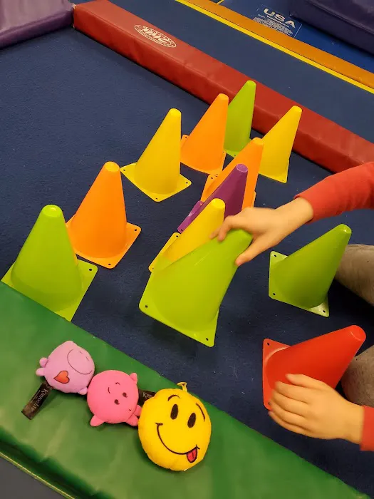 Spectra Gymnastics Picture 2