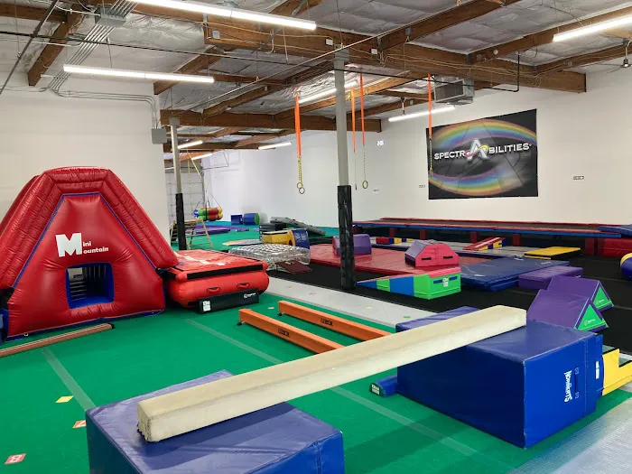 Spectra Gymnastics Picture 3