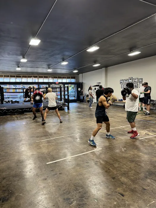 St. Johns Boxing Picture 5