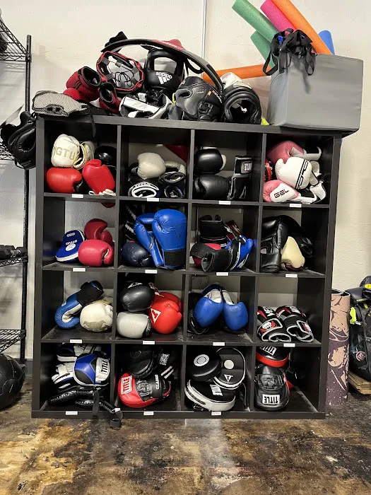 St. Johns Boxing Picture 6