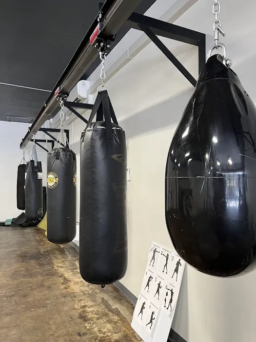 St. Johns Boxing Picture 4