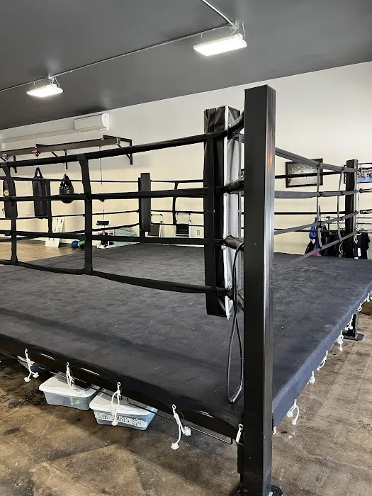 St. Johns Boxing Picture 2