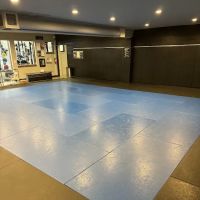Industrial Strength Gym: Fitness & Jiu Jitsu ico