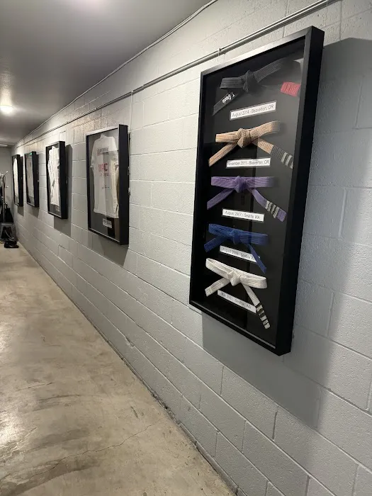 Industrial Strength Gym: Fitness & Jiu Jitsu Picture 5