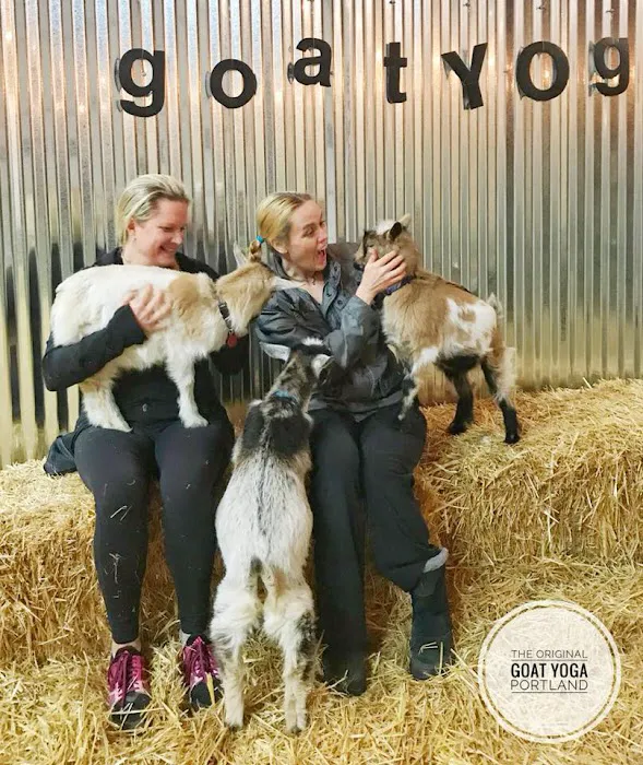 Original Goat Yoga- Oregon City OR Picture 8