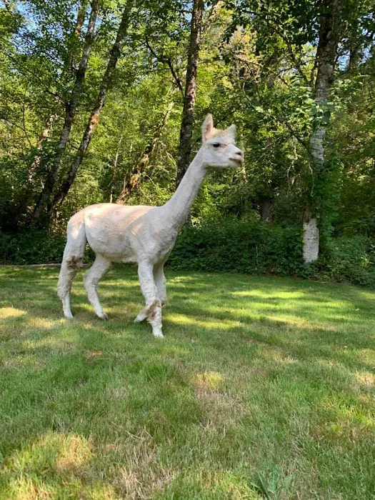 Original Goat Yoga- Oregon City OR Picture 3