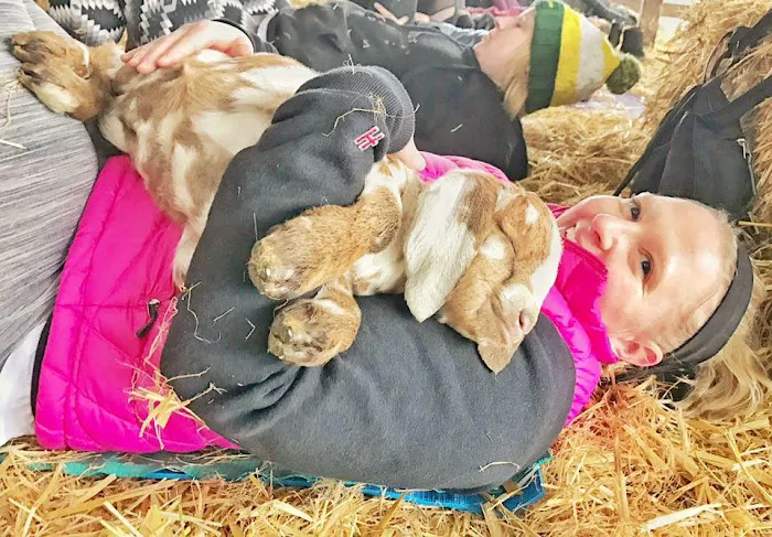 Original Goat Yoga- Oregon City OR Picture 5