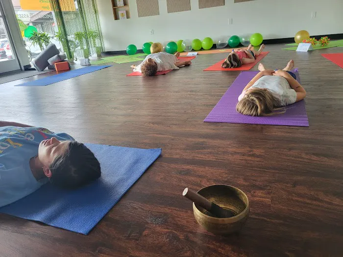 Frog spirit yoga Picture 4