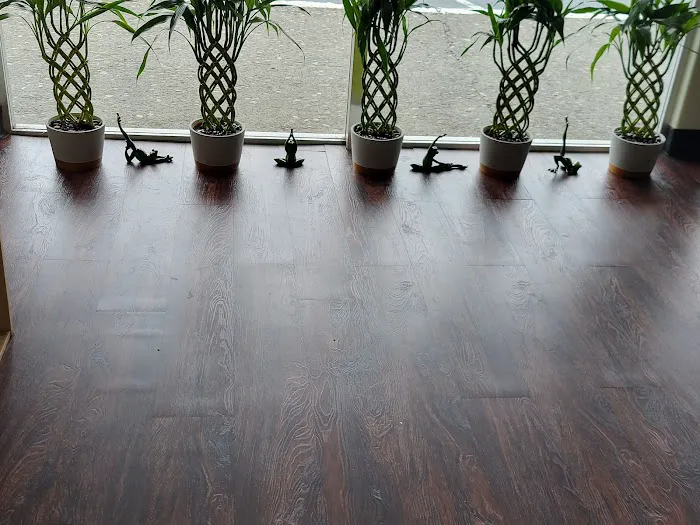 Frog spirit yoga Picture 2