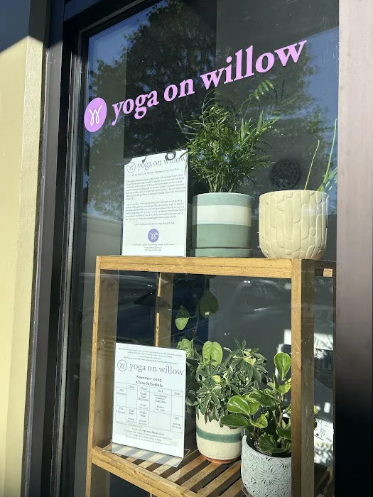 Yoga On Willow Picture 3