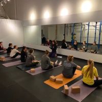 Yoga On Willow ico
