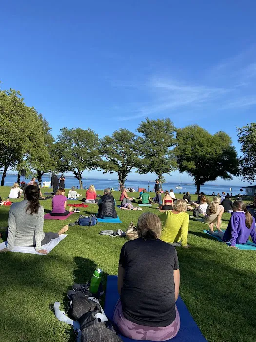 Yoga On Willow Picture 5