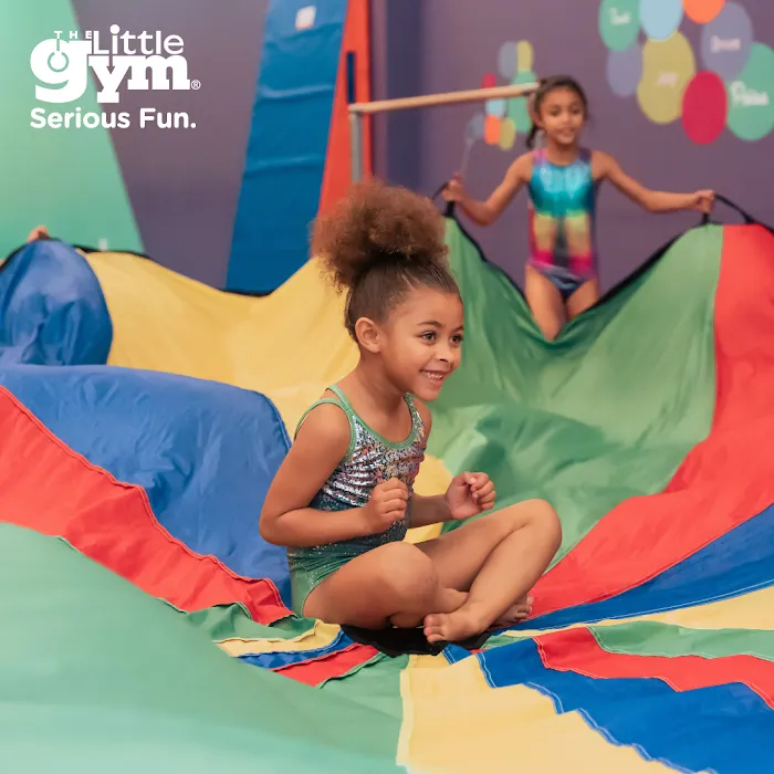 The Little Gym of Lake Oswego Picture 6