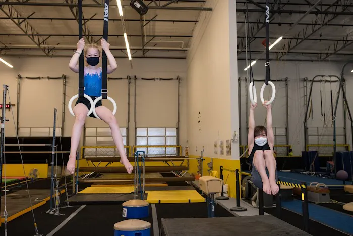 OMEGA Gymnastics Picture 6