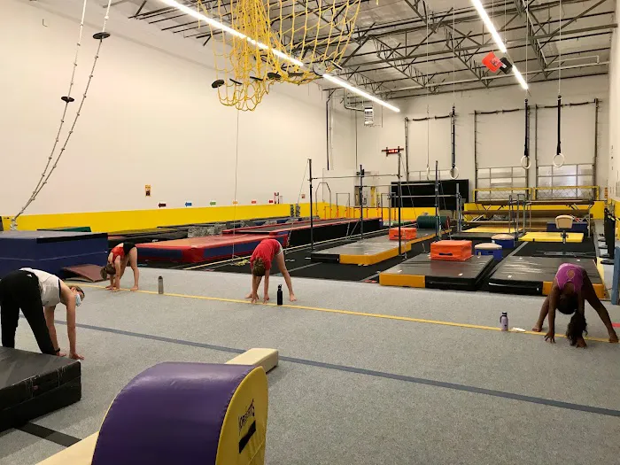 OMEGA Gymnastics Picture 9