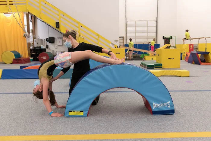 OMEGA Gymnastics Picture 2