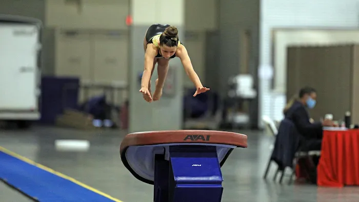 OMEGA Gymnastics Picture 8