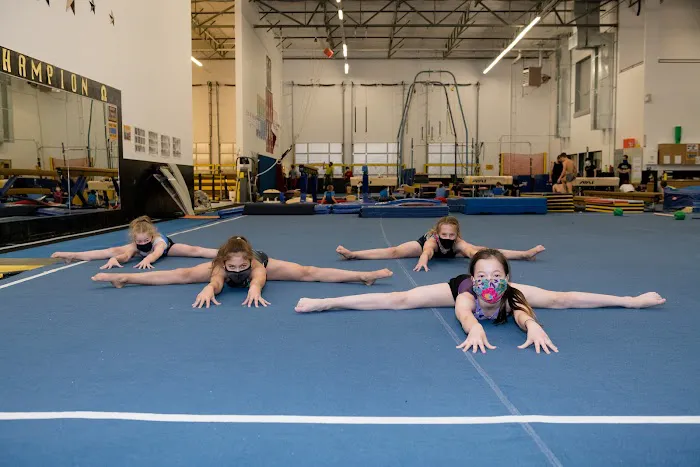 OMEGA Gymnastics Picture 7