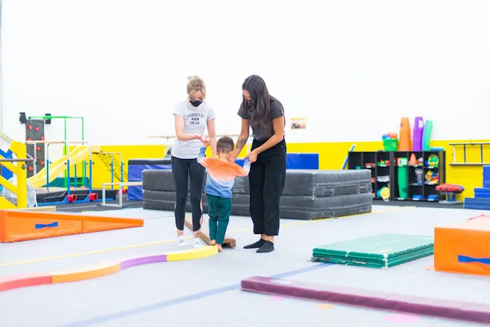 OMEGA Gymnastics Picture 1