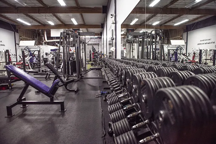 PDX Muscle Picture 10