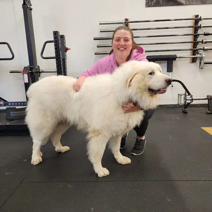 EMF Training Studio Picture 5