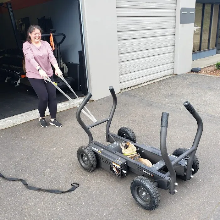 EMF Training Studio Picture 4