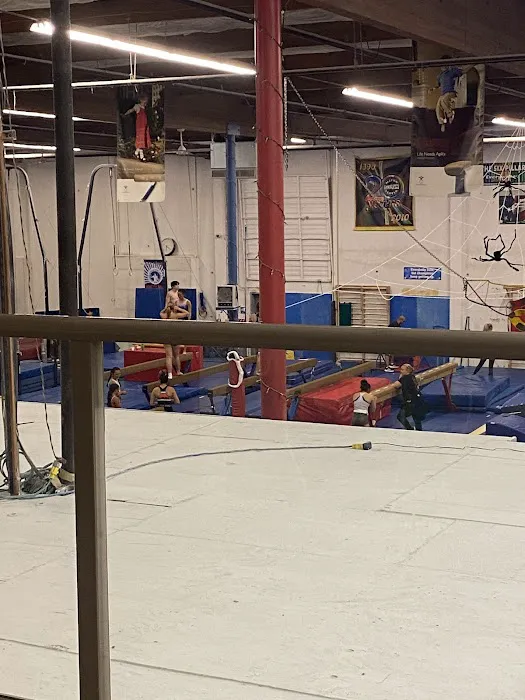 Metro Gymnastics Center Picture 3