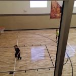 LA Fitness