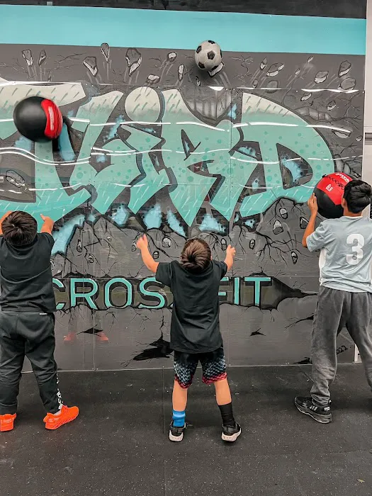 CrossFit Iliad Picture 7