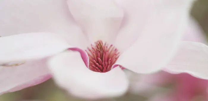 Yiwen Yoga Picture 4