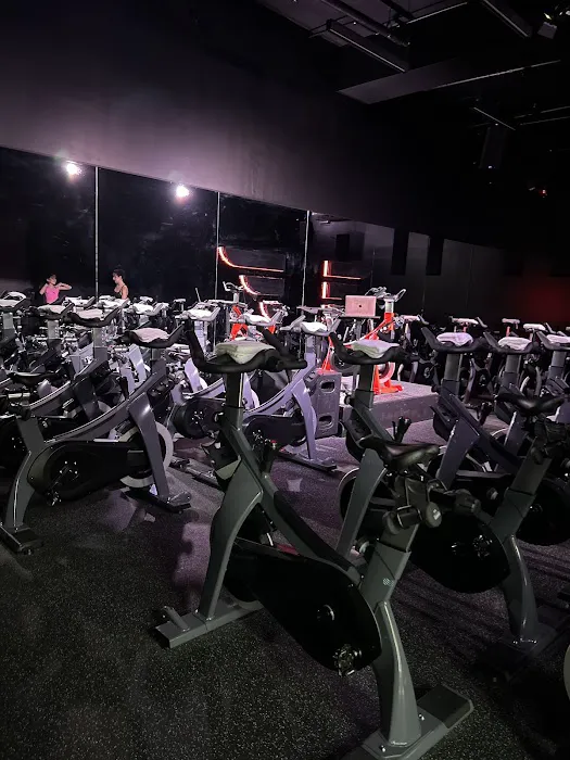 Rise Cycle Fit Co. Picture 6