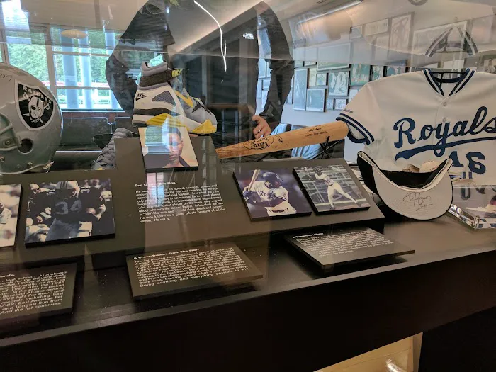 Bo Jackson Sport Center Picture 3