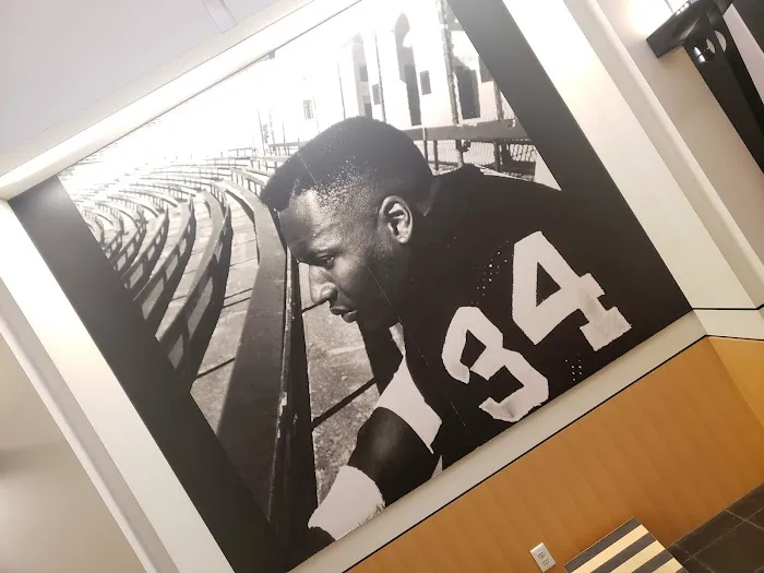 Bo Jackson Sport Center Picture 8