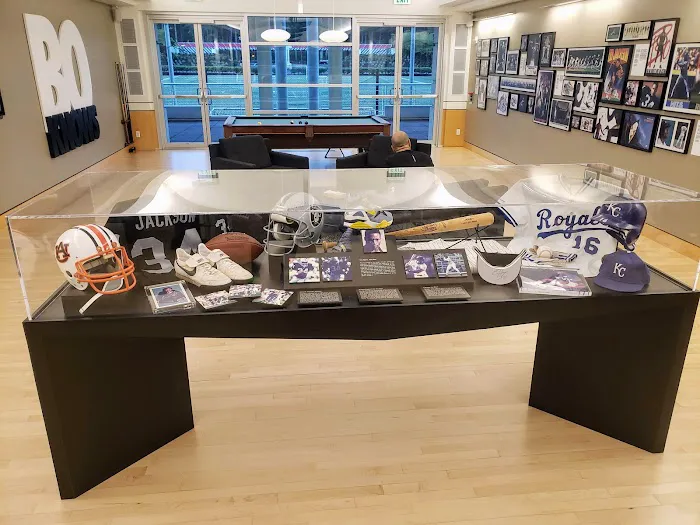 Bo Jackson Sport Center Picture 7