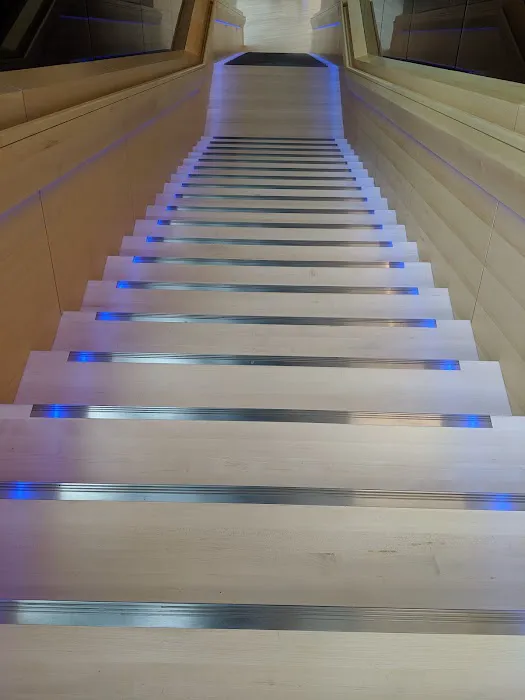 Nike - Coach K Picture 2