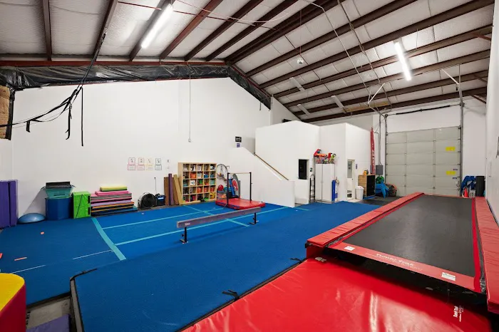 Tumblebears Gym Picture 1