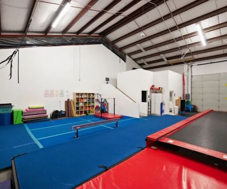 Tumblebears Gym