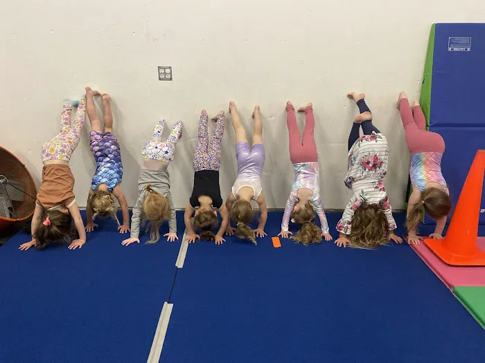 Tumblebears Gym Picture 6