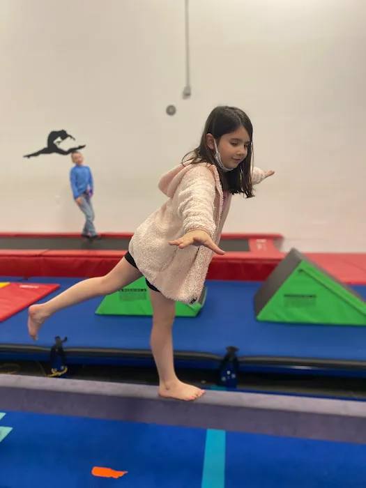 Tumblebears Gym Picture 8