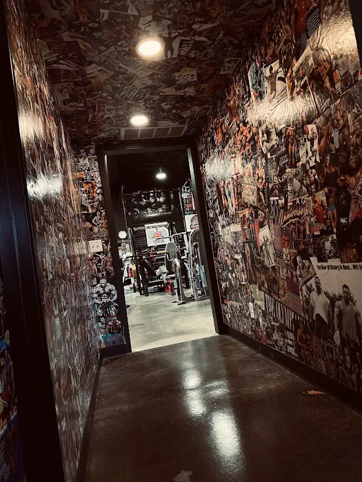 Arms Race Gym Picture 2