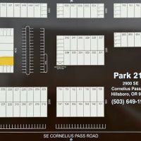 Intrinsic Training ico