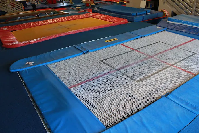 Oregon Gymnastics Academy Picture 4