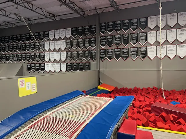 Oregon Gymnastics Academy Picture 8